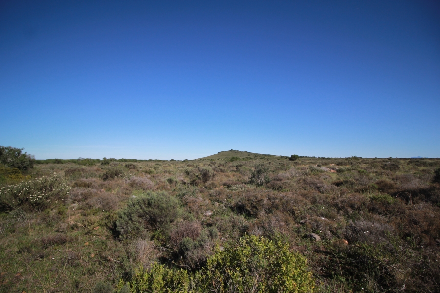 0 Bedroom Property for Sale in Mossel Bay Rural Western Cape